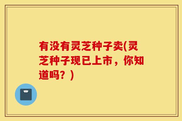 有没有灵芝种子卖(灵芝种子现已上市,你知道吗?)
