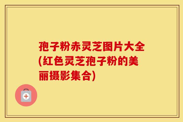 孢子粉赤灵芝图片大全(红色灵芝孢子粉的美丽摄影集合)