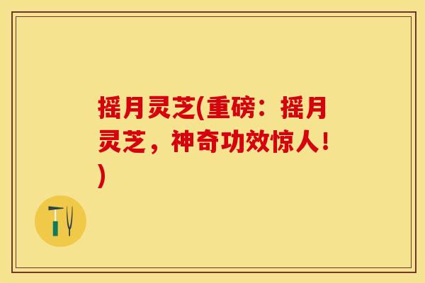 摇月灵芝(重磅：摇月灵芝，神奇功效惊人！)