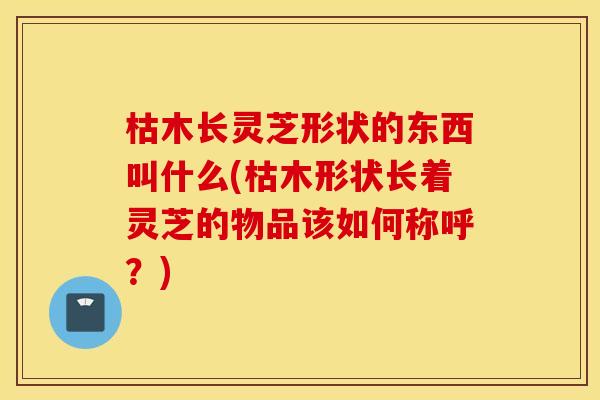 枯木长灵芝形状的东西叫什么(枯木形状长着灵芝的物品该如何称呼？)