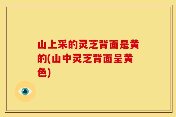 山上采的灵芝背面是黄的(山中灵芝背面呈黄色)
