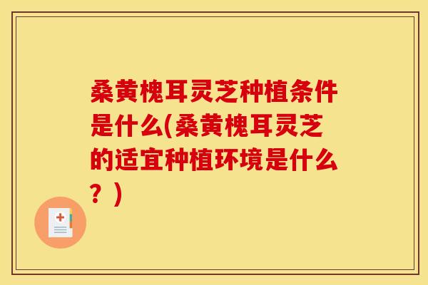 桑黄槐耳灵芝种植条件是什么(桑黄槐耳灵芝的适宜种植环境是什么？)