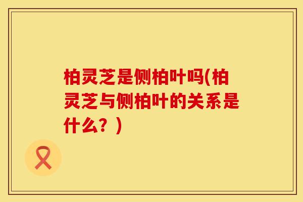 柏灵芝是侧柏叶吗(柏灵芝与侧柏叶的关系是什么?)