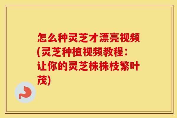 怎么种灵芝才漂亮视频(灵芝种植视频教程:让你的灵芝株株枝繁叶茂)