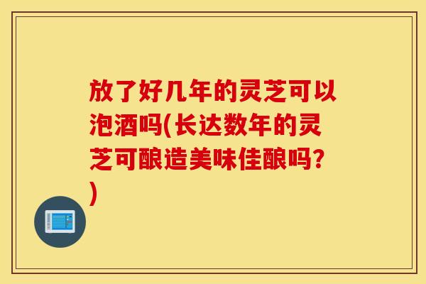 放了好几年的灵芝可以泡酒吗(长达数年的灵芝可酿造美味佳酿吗?)