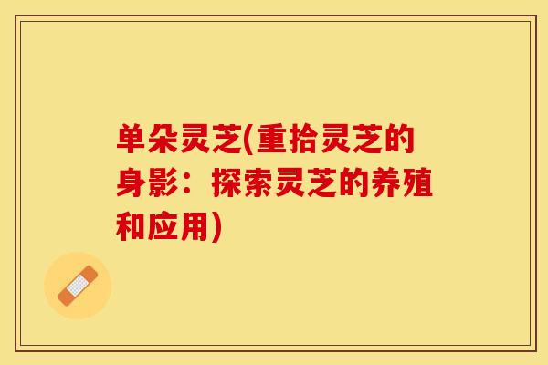 单朵灵芝(重拾灵芝的身影：探索灵芝的养殖和应用)
