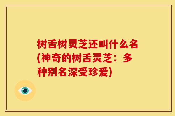 树舌树灵芝还叫什么名(神奇的树舌灵芝:多种别名深受珍爱)