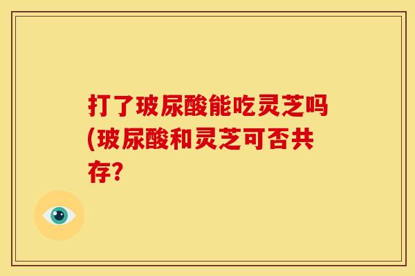 打了玻尿酸能吃灵芝吗(玻尿酸和灵芝可否共存？