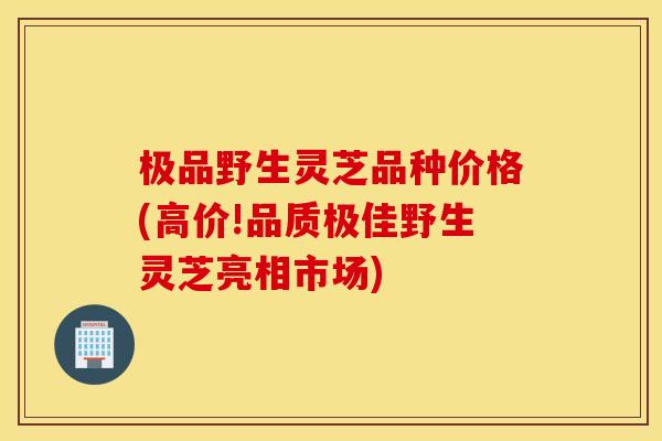 极品野生灵芝品种价格(高价!品质极佳野生灵芝亮相市场)