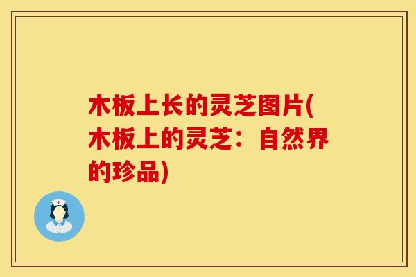 木板上长的灵芝图片(木板上的灵芝:自然界的珍品)