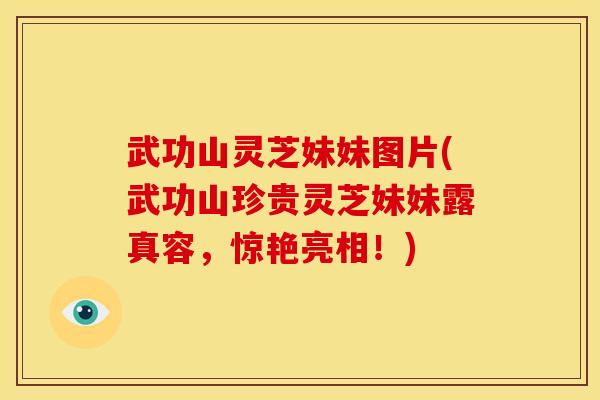 武功山灵芝妹妹图片(武功山珍贵灵芝妹妹露真容,惊艳亮相!)