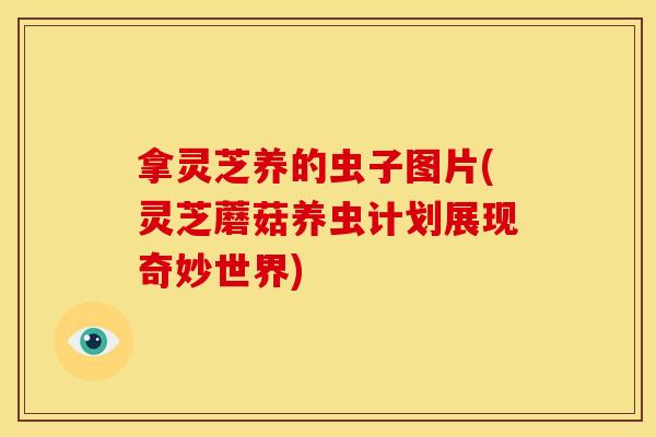 拿灵芝养的虫子图片(灵芝蘑菇养虫计划展现奇妙世界)