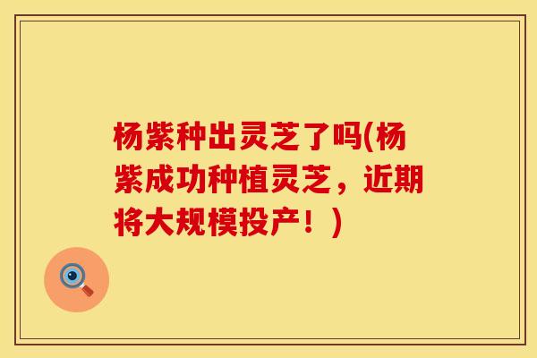 杨紫种出灵芝了吗(杨紫成功种植灵芝,近期将大规模投产!)