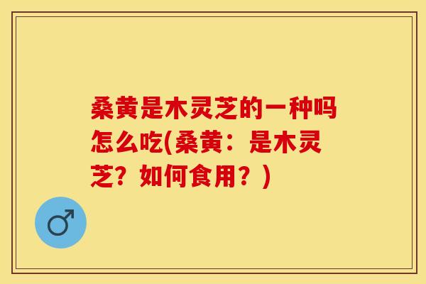 桑黄是木灵芝的一种吗怎么吃(桑黄:是木灵芝?如何食用?)