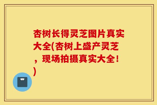 杏树长得灵芝图片真实大全(杏树上盛产灵芝,现场拍摄真实大全!)
