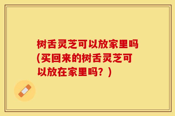 树舌灵芝可以放家里吗(买回来的树舌灵芝可以放在家里吗?)