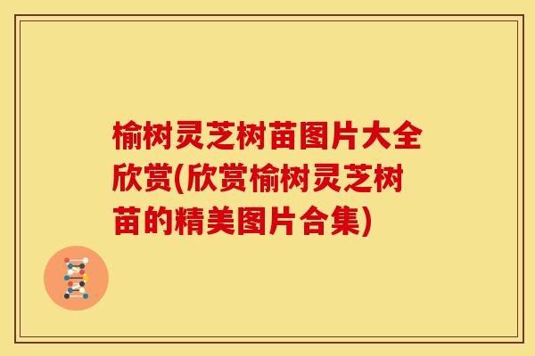 榆树灵芝树苗图片大全欣赏(欣赏榆树灵芝树苗的精美图片合集)