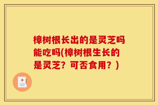 樟树根长出的是灵芝吗能吃吗(樟树根生长的是灵芝?可否食用?)