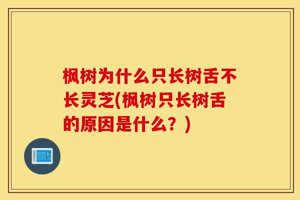 枫树为什么只长树舌不长灵芝(枫树只长树舌的原因是什么?)