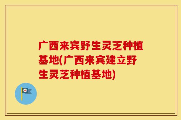 广西来宾野生灵芝种植基地(广西来宾建立野生灵芝种植基地)