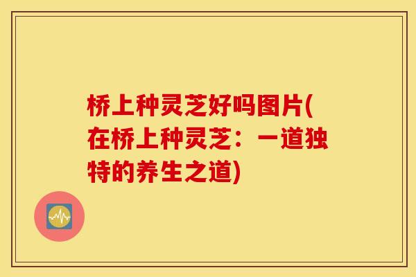 桥上种灵芝好吗图片(在桥上种灵芝:一道独特的养生之道)