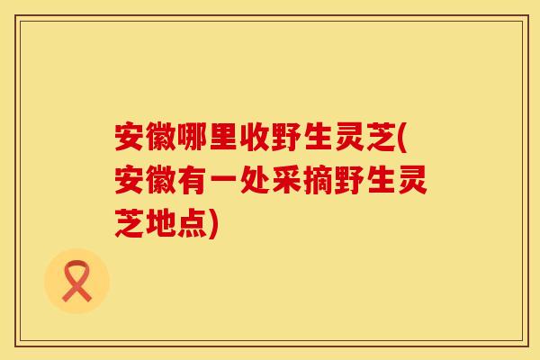 安徽哪里收野生灵芝(安徽有一处采摘野生灵芝地点)