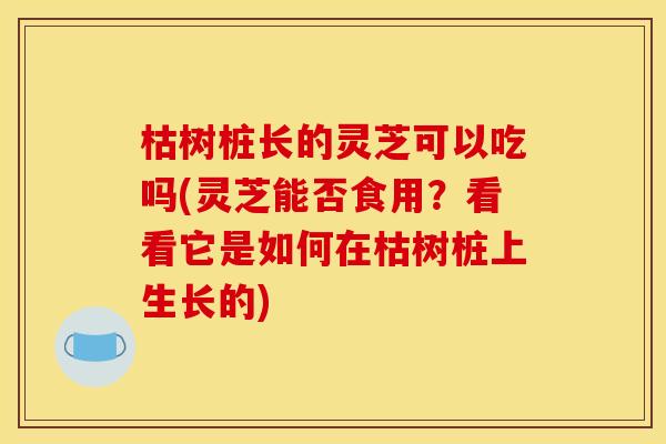 枯树桩长的灵芝可以吃吗(灵芝能否食用？看看它是如何在枯树桩上生长的)