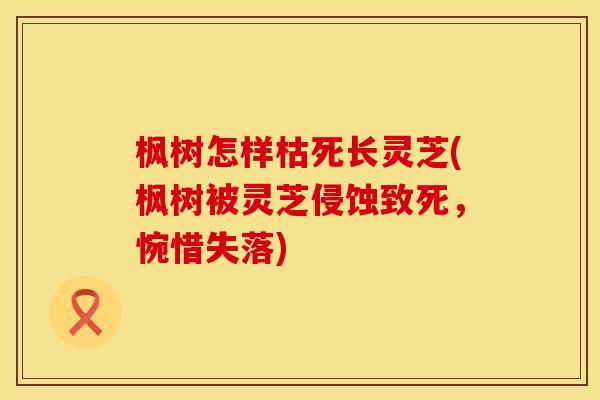 枫树怎样枯死长灵芝(枫树被灵芝侵蚀致死,惋惜失落)