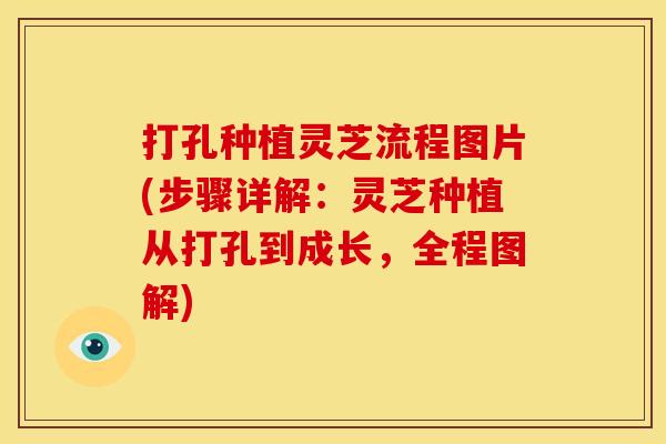 打孔种植灵芝流程图片(步骤详解:灵芝种植从打孔到成长,全程图解)