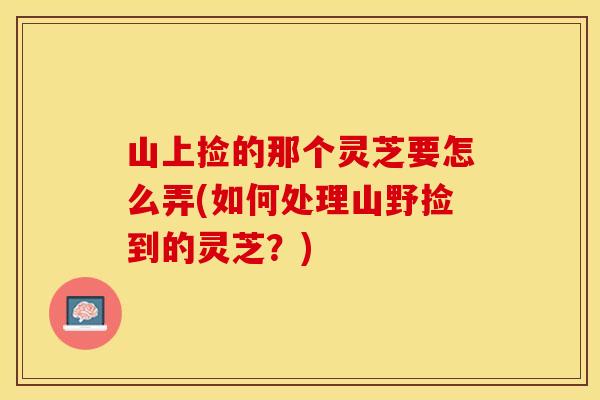 山上捡的那个灵芝要怎么弄(如何处理山野捡到的灵芝?)
