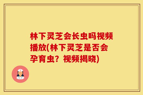 林下灵芝会长虫吗视频播放(林下灵芝是否会孕育虫?视频揭晓)