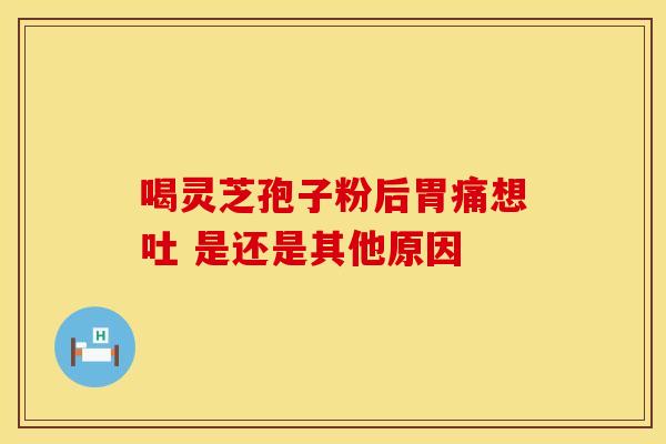 喝灵芝孢子粉后胃痛想吐 是还是其他原因
