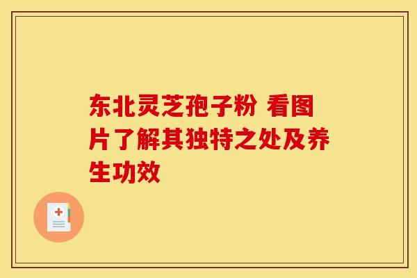 东北灵芝孢子粉 看图片了解其独特之处及养生功效