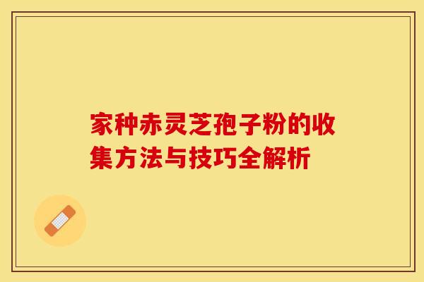 家种赤灵芝孢子粉的收集方法与技巧全解析