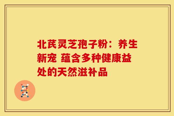 北芪灵芝孢子粉:养生新宠 蕴含多种健康益处的天然滋补品