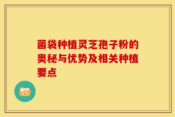 菌袋种植灵芝孢子粉的奥秘与优势及相关种植要点