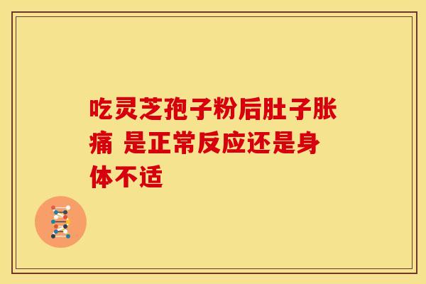 吃灵芝孢子粉后肚子胀痛 是正常反应还是身体不适