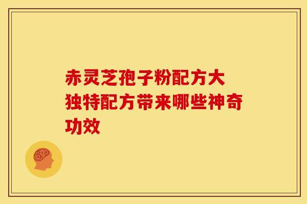 赤灵芝孢子粉配方大 独特配方带来哪些神奇功效