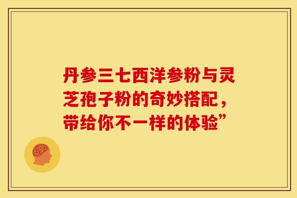 丹参三七西洋参粉与灵芝孢子粉的奇妙搭配，带给你不一样的体验”