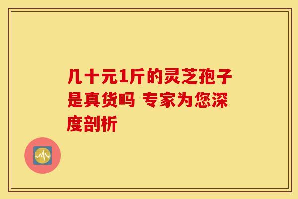 几十元1斤的灵芝孢子是真货吗 专家为您深度剖析