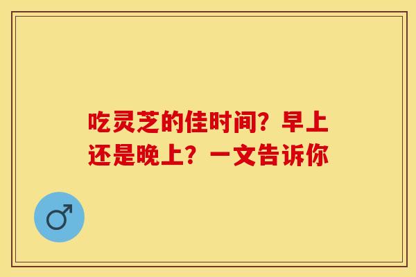 吃灵芝的佳时间？早上还是晚上？一文告诉你