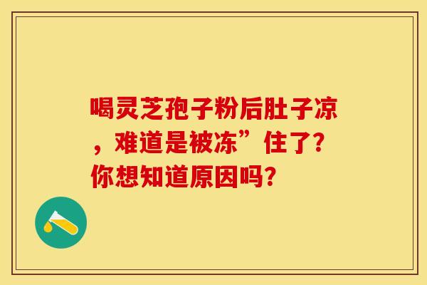 喝灵芝孢子粉后肚子凉，难道是被冻”住了？你想知道原因吗？