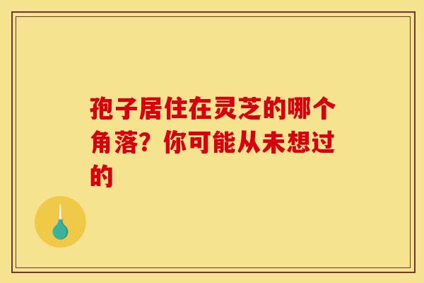 孢子居住在灵芝的哪个角落？你可能从未想过的