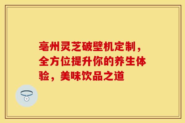 亳州灵芝破壁机定制，全方位提升你的养生体验，美味饮品之道