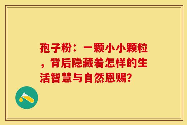 孢子粉：一颗小小颗粒，背后隐藏着怎样的生活智慧与自然恩赐？
