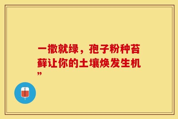 一撒就绿，孢子粉种苔藓让你的土壤焕发生机”