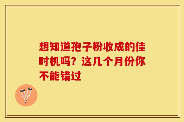 想知道孢子粉收成的佳时机吗？这几个月份你不能错过