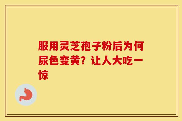 服用灵芝孢子粉后为何尿色变黄？让人大吃一惊