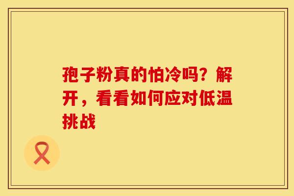 孢子粉真的怕冷吗？解开，看看如何应对低温挑战