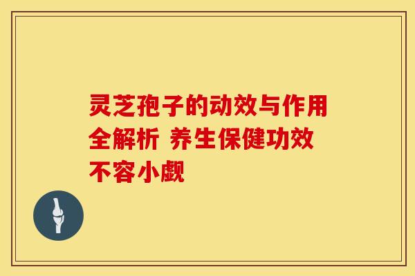 灵芝孢子的动效与作用全解析 养生保健功效不容小觑